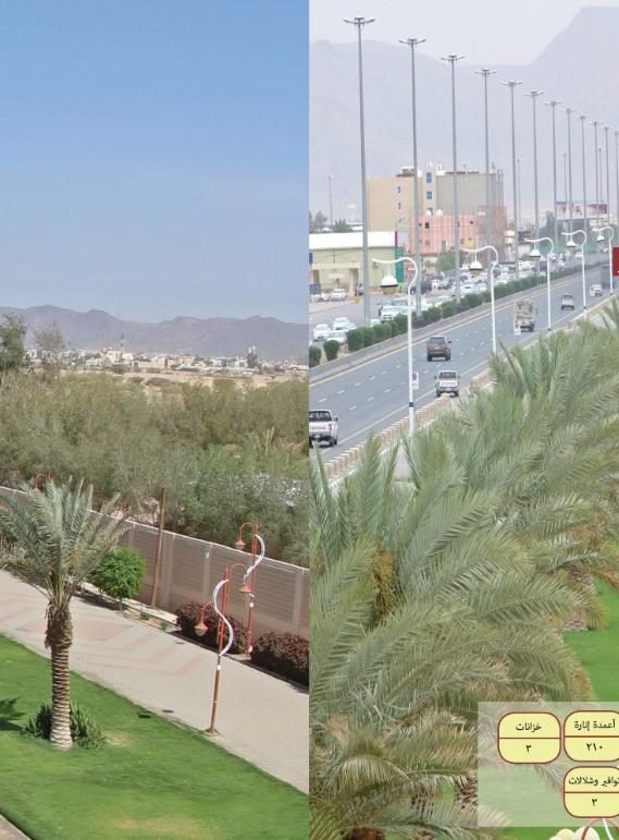 تنسيق حدائق في موقع عام