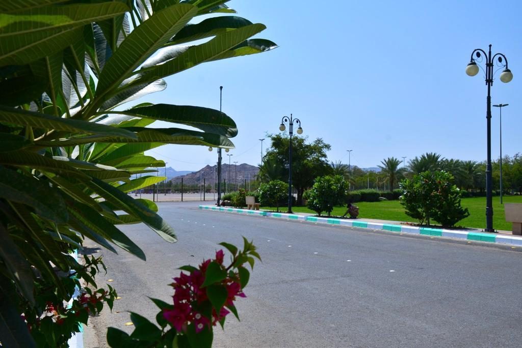 ساحات مشاة ضمن تنسيق موقع