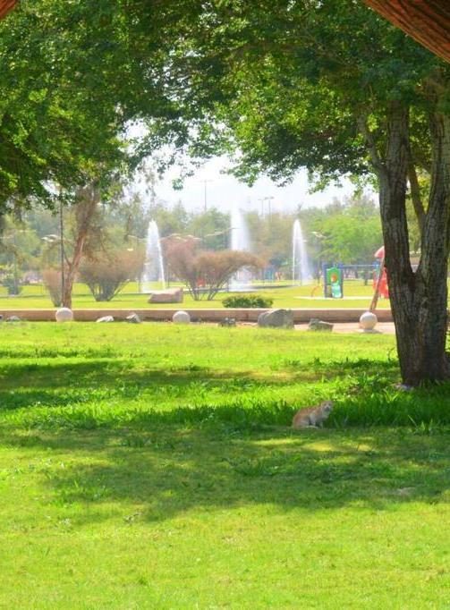 حدائق ومسطحات خضراء ضمن مشروع الري